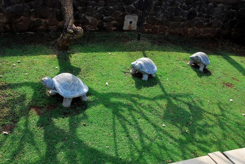 Manas Resort With Petting Zoo image