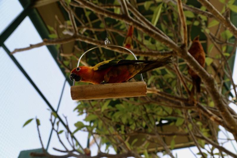 Manas Resort With Petting Zoo image