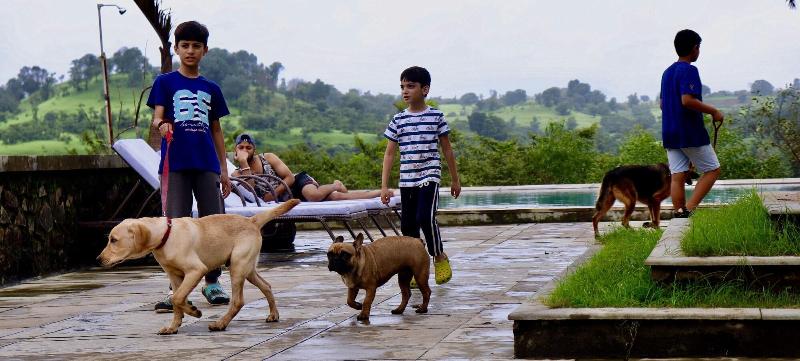 Manas Resort With Petting Zoo image