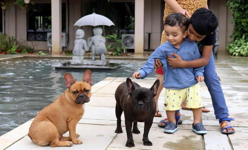 Manas Resort With Petting Zoo image