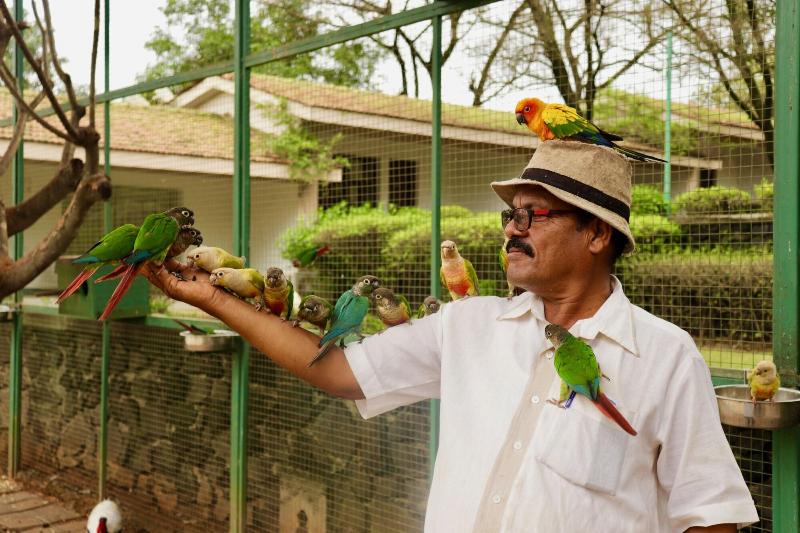 Manas Resort With Petting Zoo image