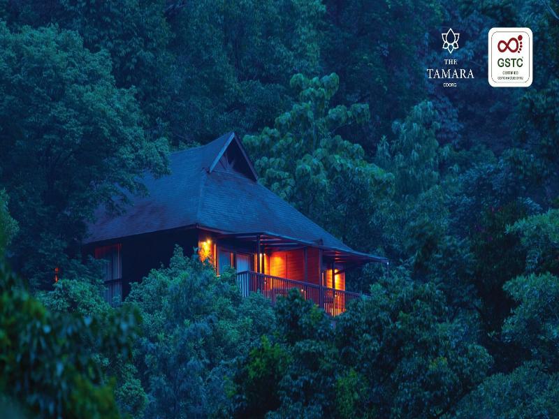 The Tamara Coorg image