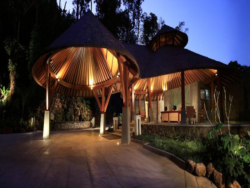 The Tamara Coorg image