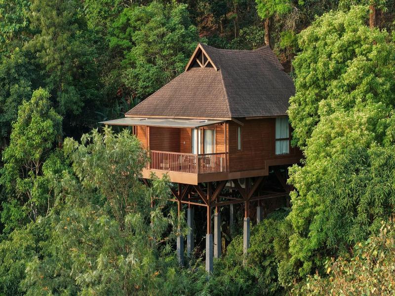 The Tamara Coorg image