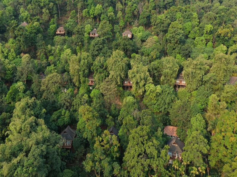 The Tamara Coorg image