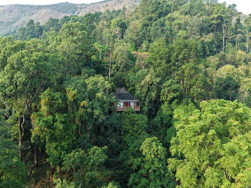 The Tamara Coorg image