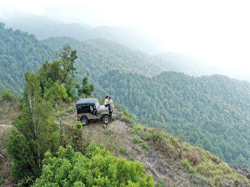 The Tamara Coorg image