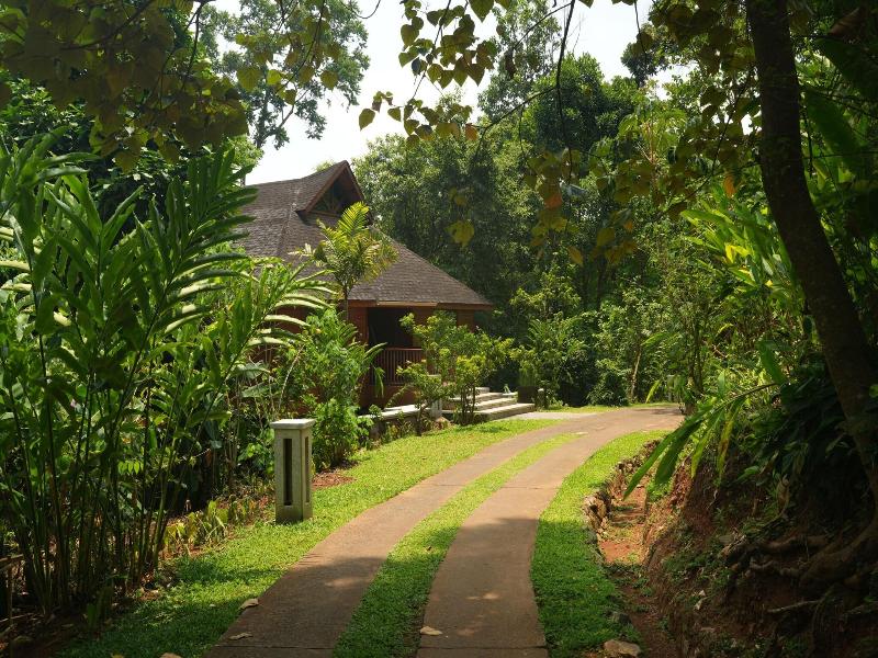 The Tamara Coorg image