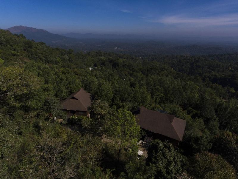 The Tamara Coorg image