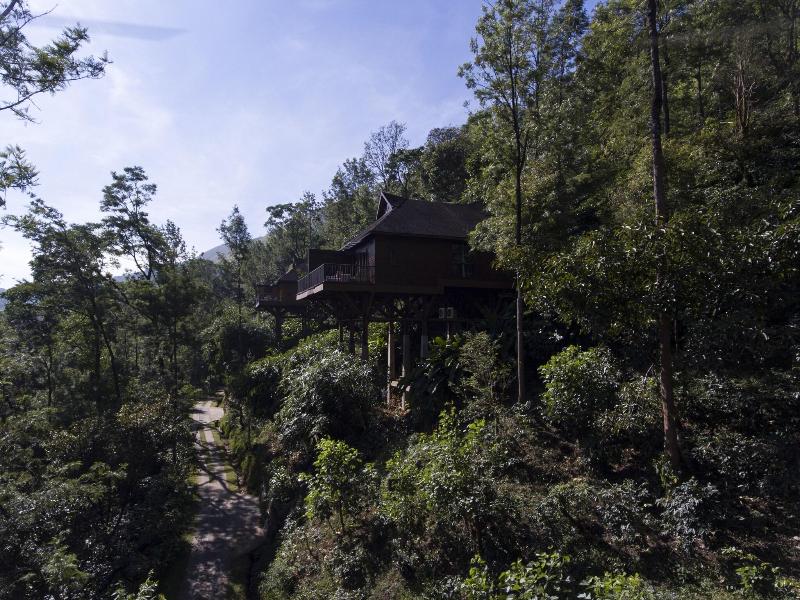 The Tamara Coorg image