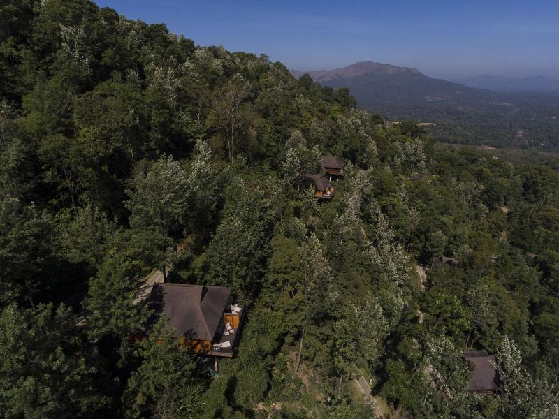The Tamara Coorg image