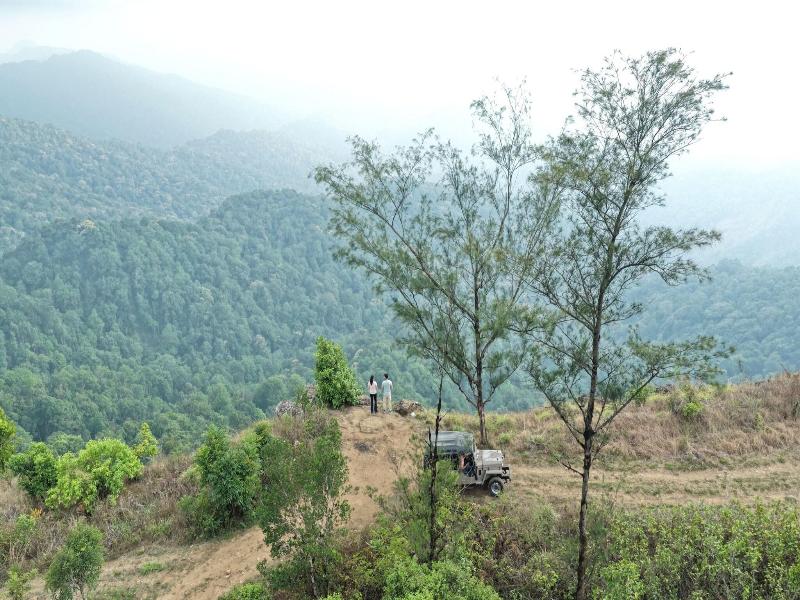 The Tamara Coorg image