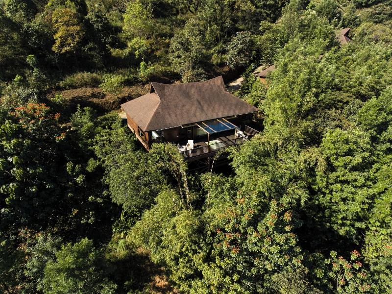 The Tamara Coorg image