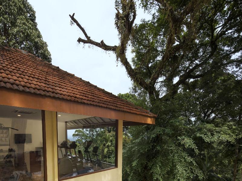 The Tamara Coorg image
