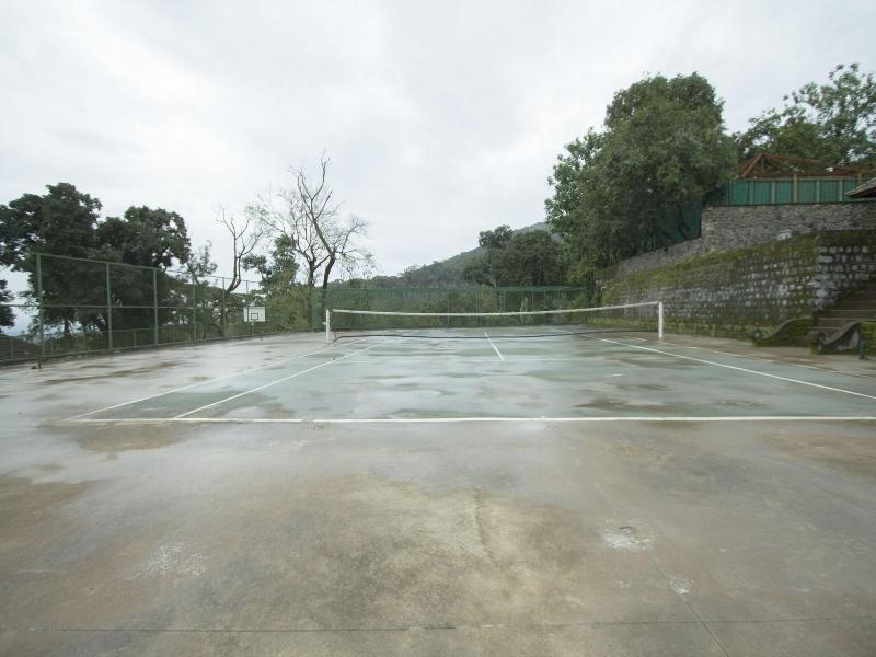 The Tamara Coorg image