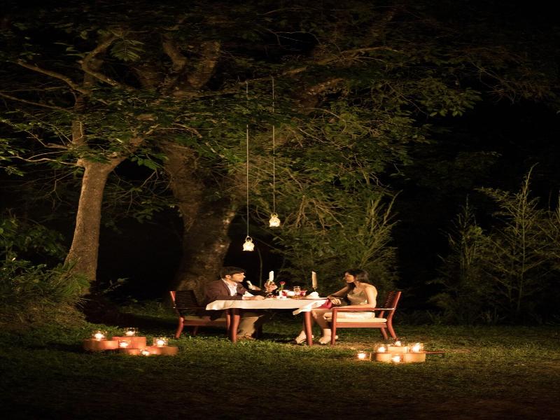 The Tamara Coorg image