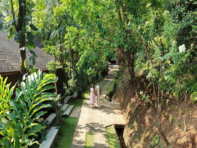 The Tamara Coorg image