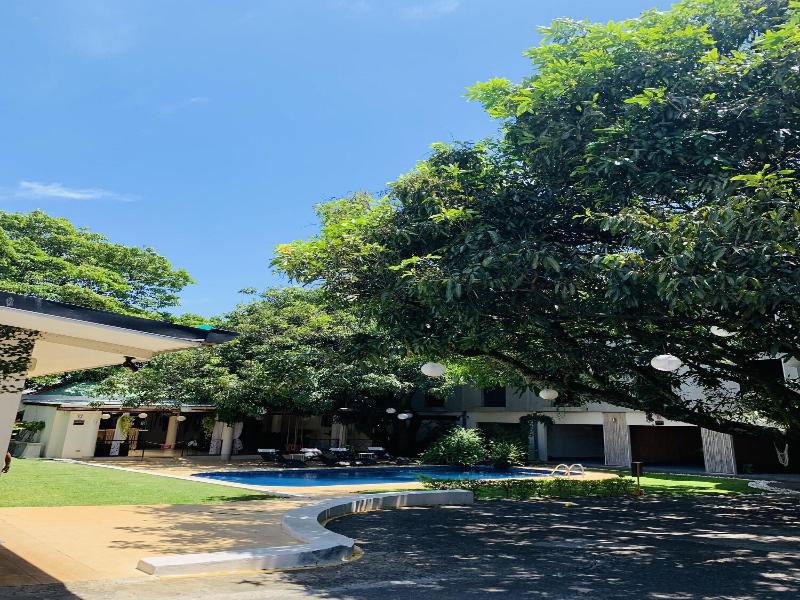 Hotel Mango image