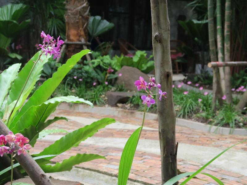 The Picturebook Guesthouse image