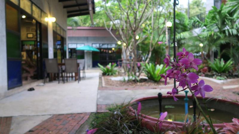 The Picturebook Guesthouse image