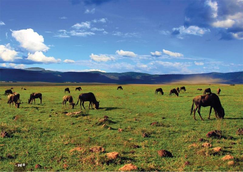 Kilemakyaro Mountain Lodge image