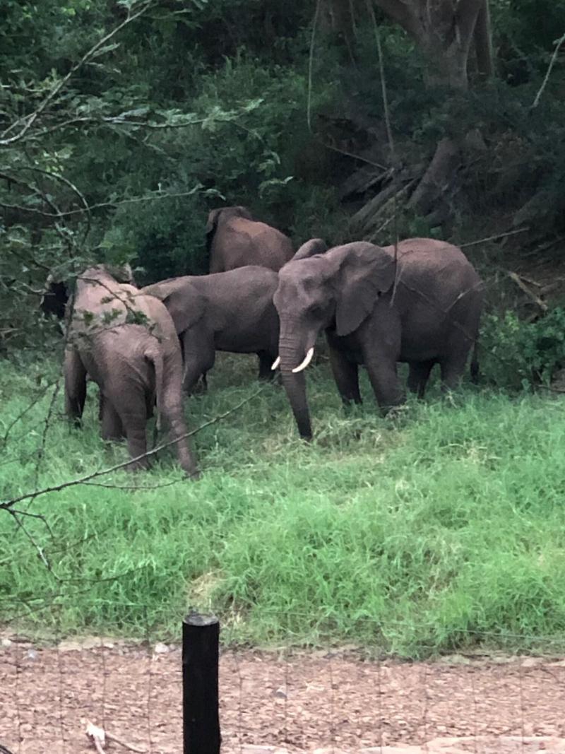 Msunduze River Lodge