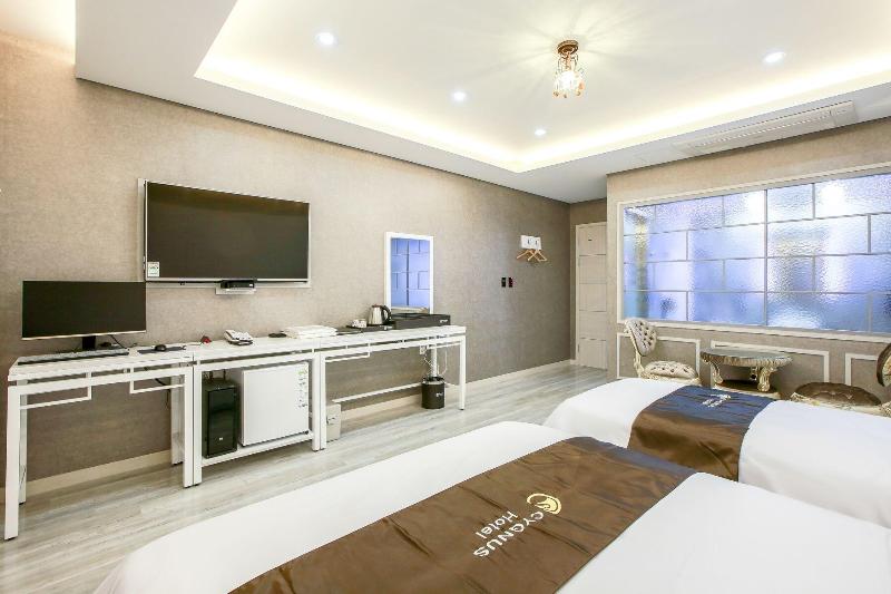 Cygnus Hotel image