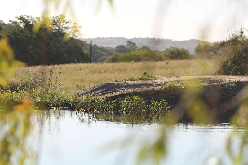 Country Park image