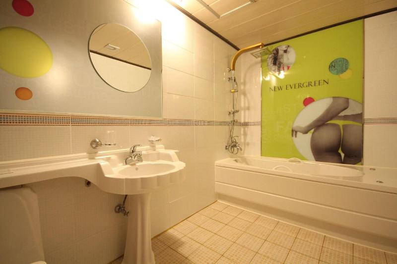 Hotel New Evergreen image
