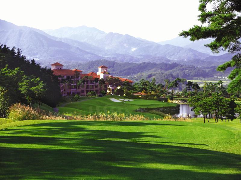 Pinehills Hotel image