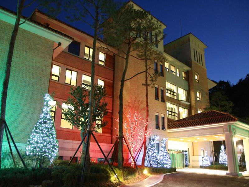 Pinehills Hotel image