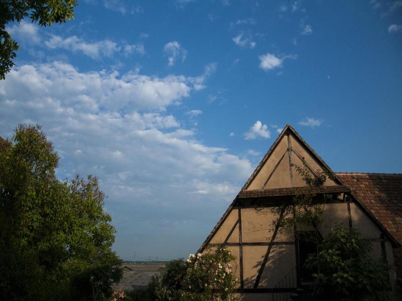 Unter Der Linde image