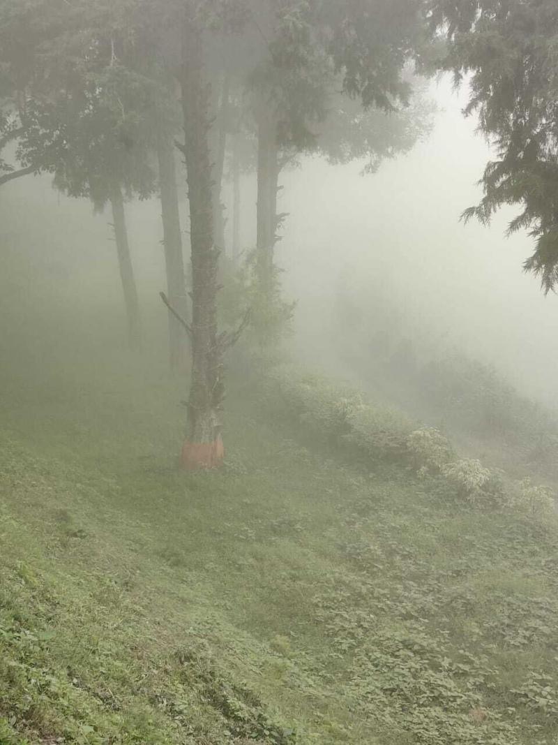 Nainital Adventure Park And Resort image