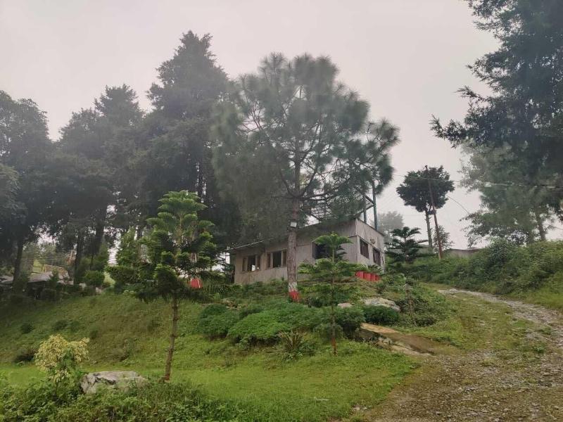 Nainital Adventure Park And Resort image