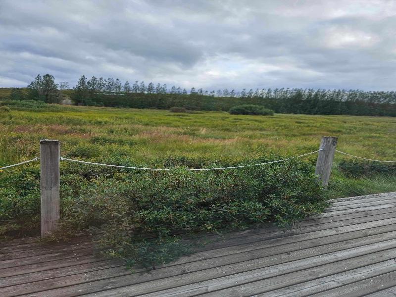 Lambalækur image