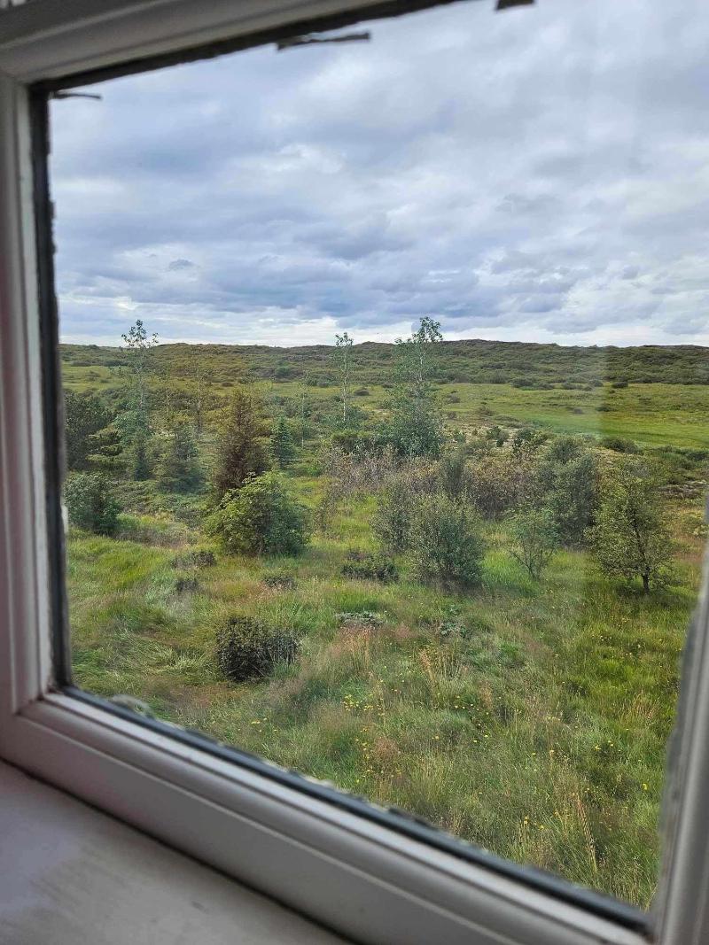 Lambalækur image
