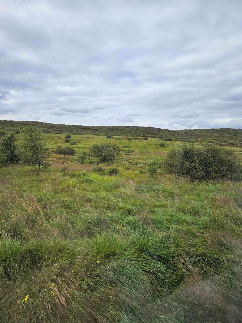 Lambalækur image