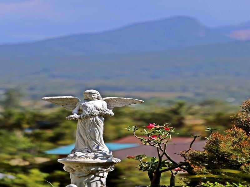 Pua De View Boutique Resort