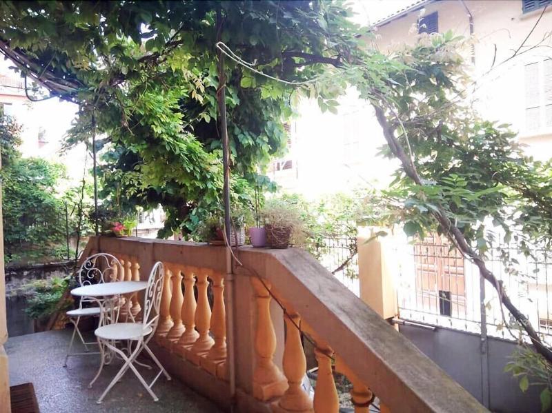 Tilia image
