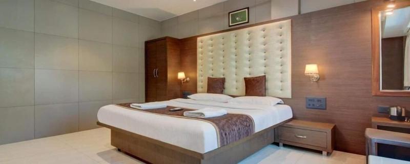 Hotel Leela image