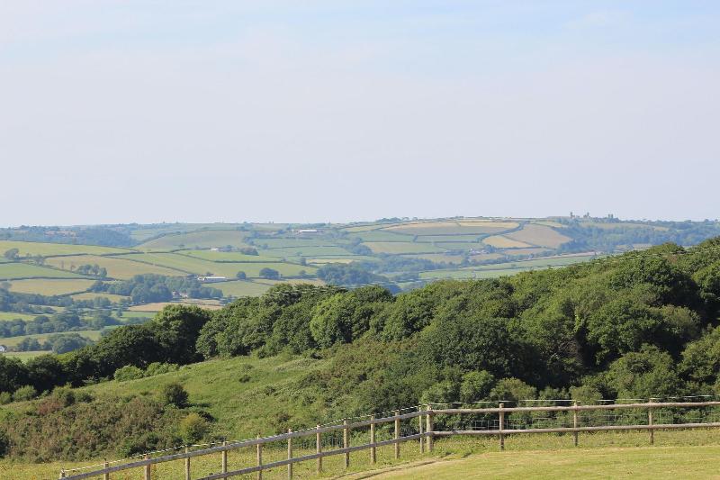 Pantysgyfarnog image