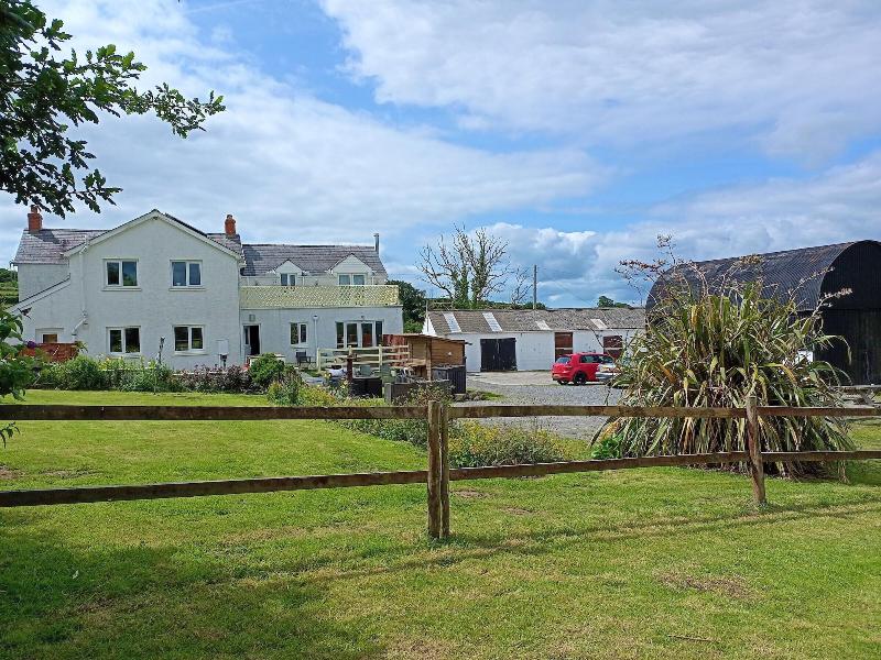 Pantysgyfarnog image