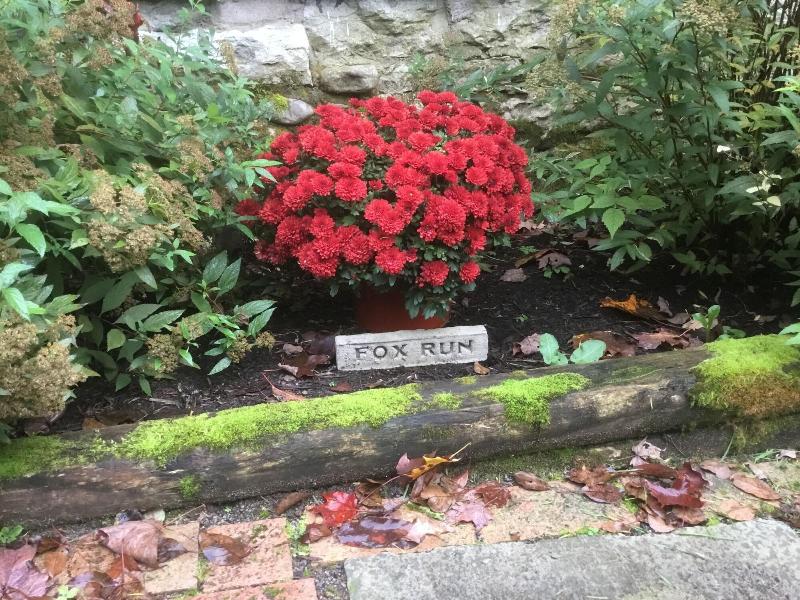 Red Fox Run B&B