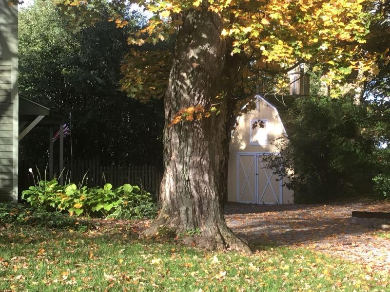 Red Fox Run B&B