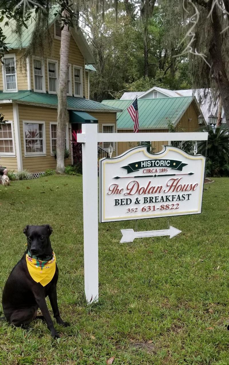 Dolan House B&B image