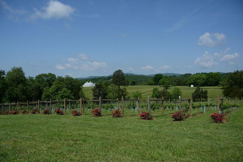 Woodville Bed And Breakfast image