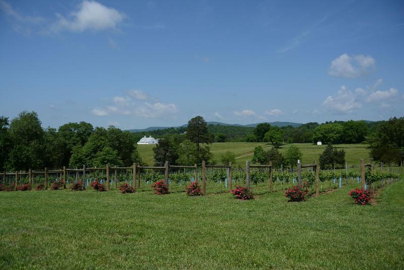 Woodville Bed And Breakfast image