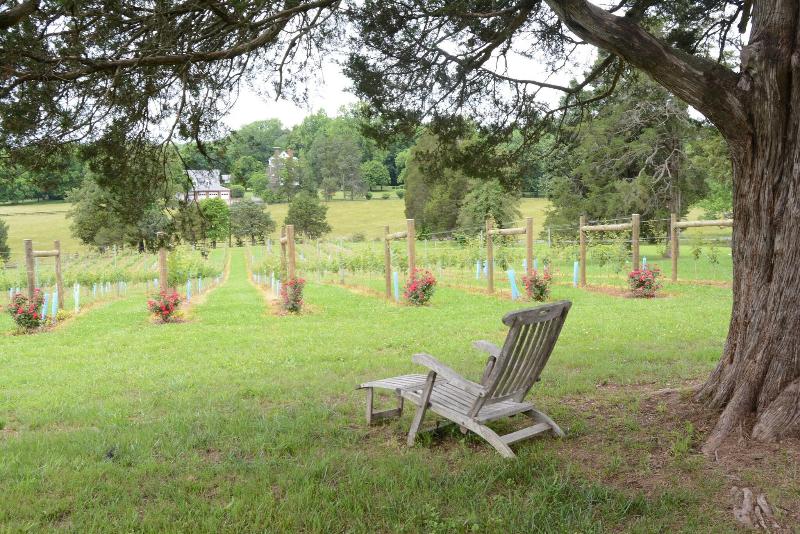 Woodville Bed And Breakfast image
