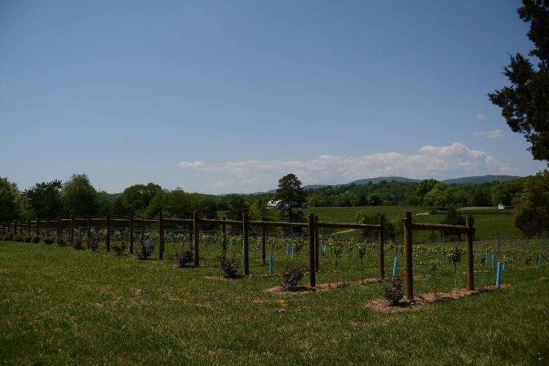 Woodville Bed And Breakfast image
