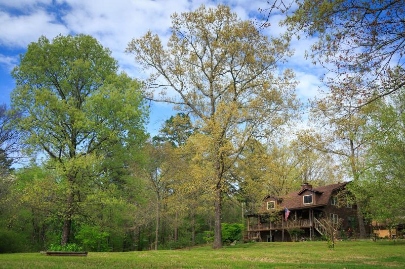 Tiffanys Bed & Breakfast image